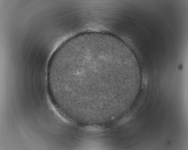 X0000114660630200912011136