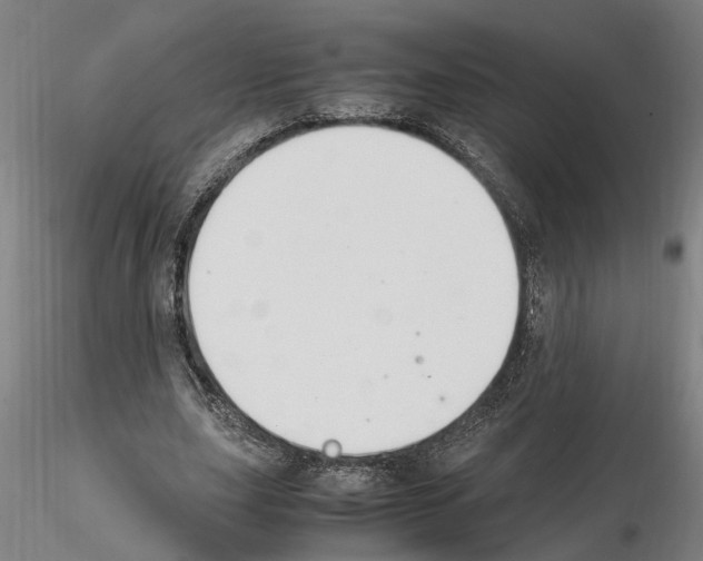 X0000114660631200912011136