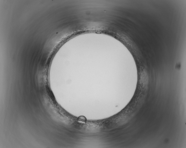 X0000114660632200912011136