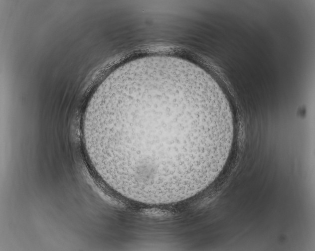 X0000114660633200912011136