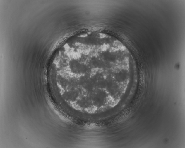 X0000114660634200912011136