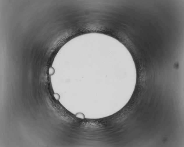 X0000114660635200912011136