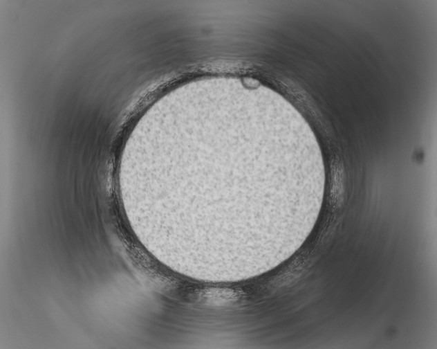 X0000114660636200912011136