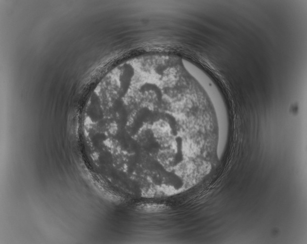 X0000114660637200912011136