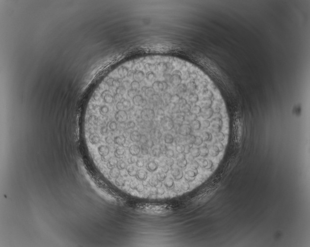 X0000114660638200912011136