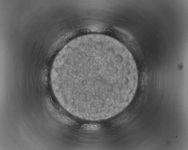 X0000114660639200912011136