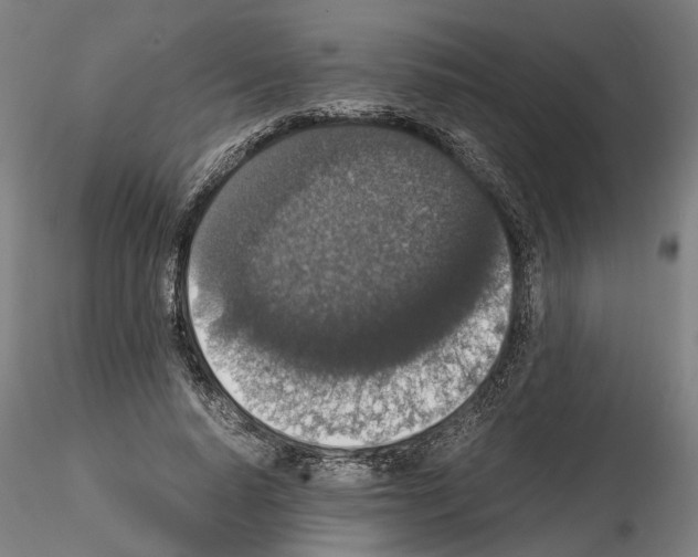 X0000114660640200912011136