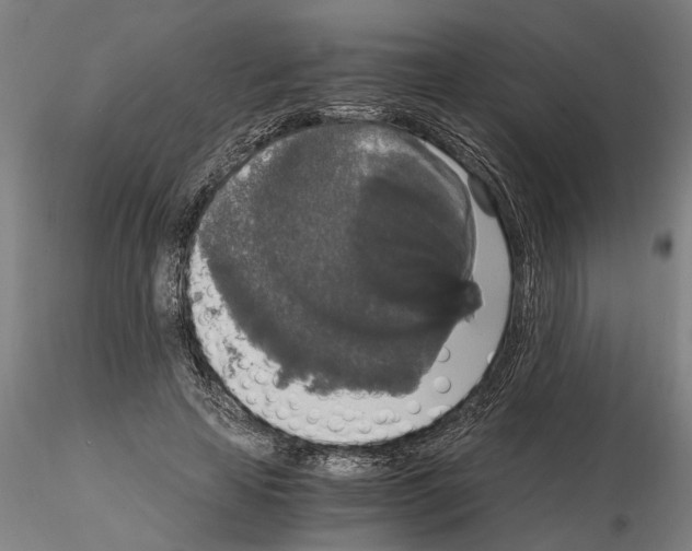 X0000114660641200912011136