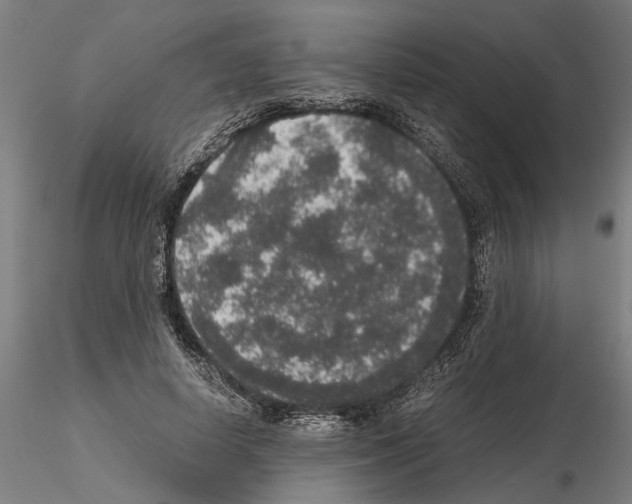 X0000114660642200912011136