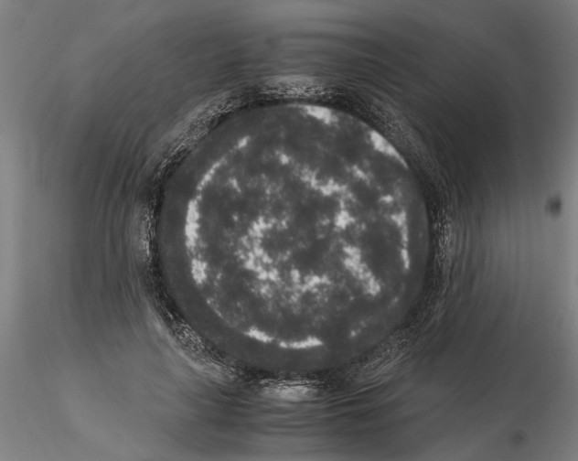 X0000114660643200912011136