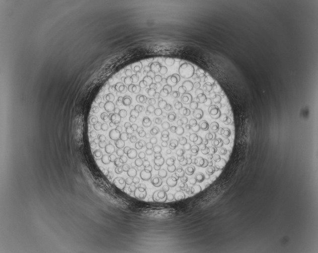 X0000114660646200912011136