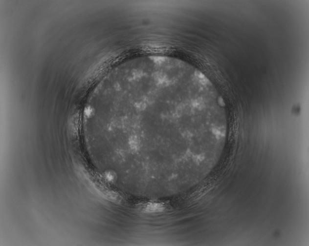 X0000114660647200912011136