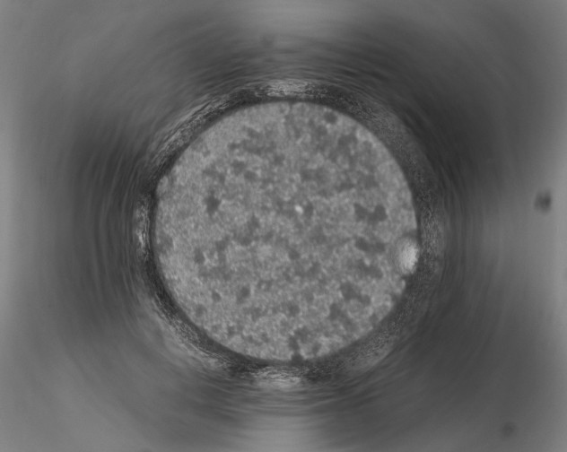 X0000114660648200912011136