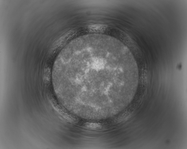 X0000114660649200912011136