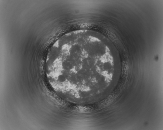 X0000114660650200912011136