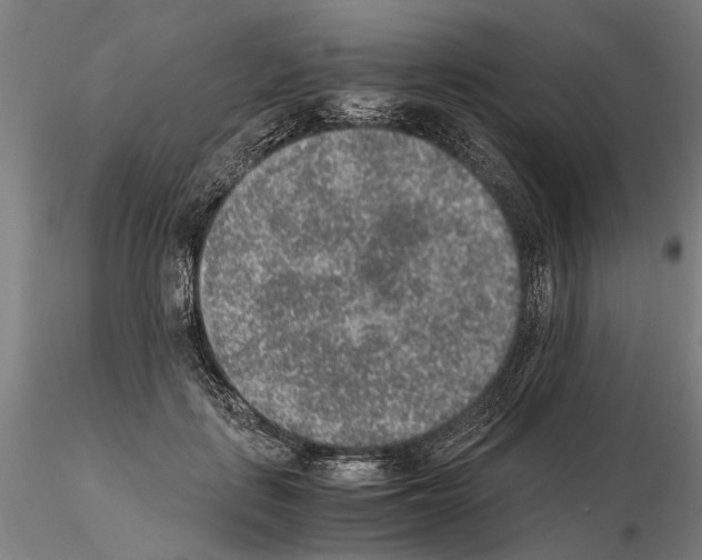 X0000114660651200912011136