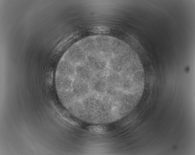 X0000114660652200912011136