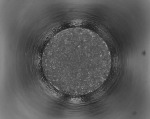 X0000114660653200912011136