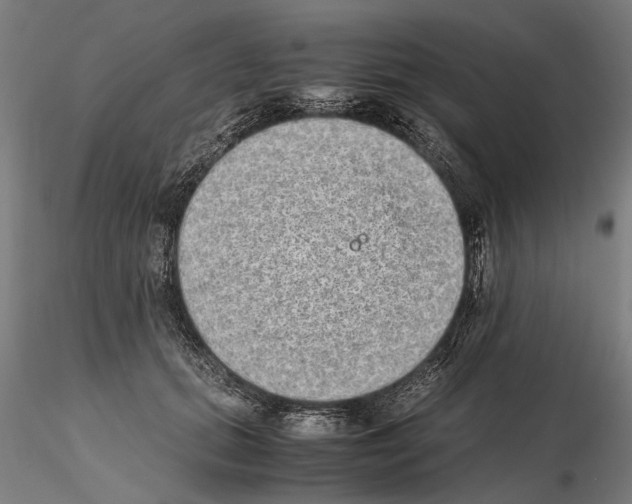 X0000114660655200912011136