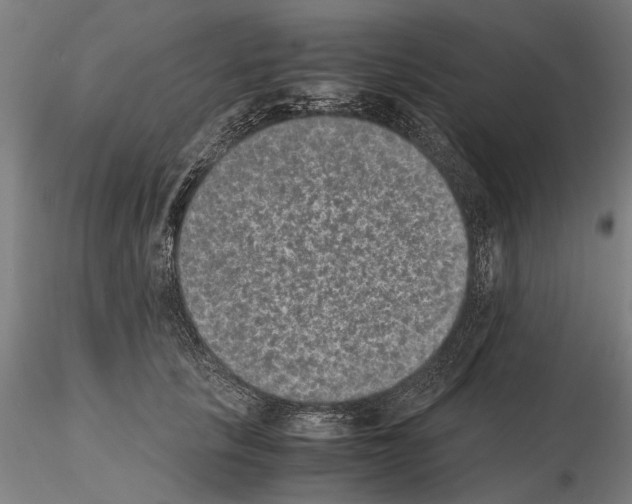 X0000114660657200912011136