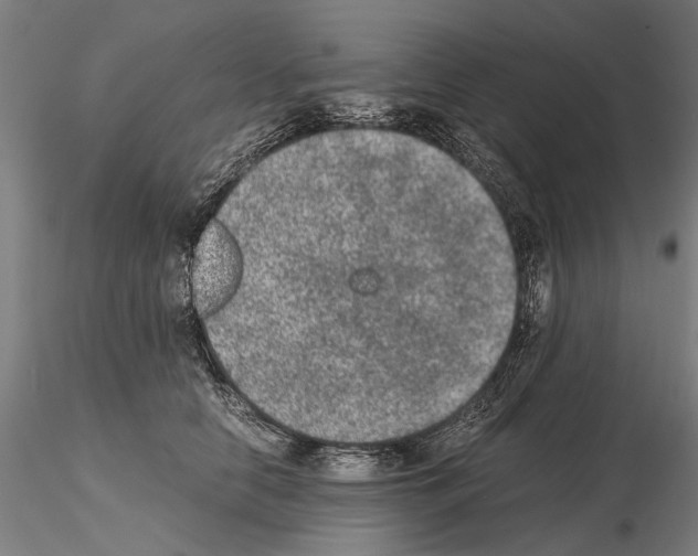 X0000114660658200912011136