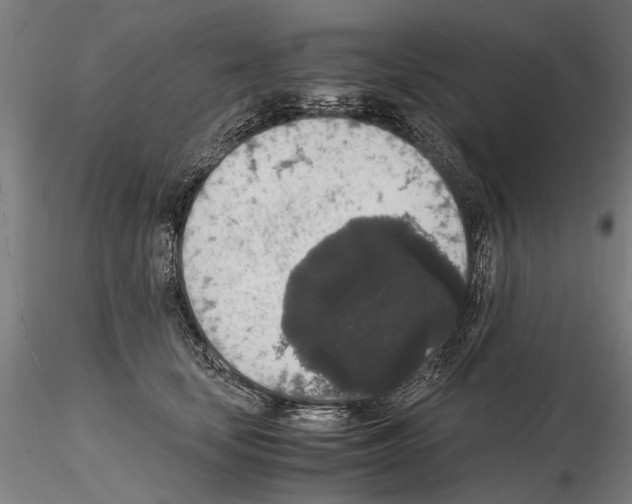 X0000114660659200912011136