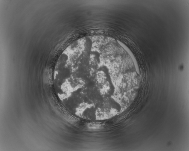 X0000114660661200912011136