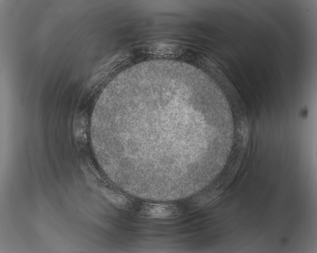 X0000114660663200912011136