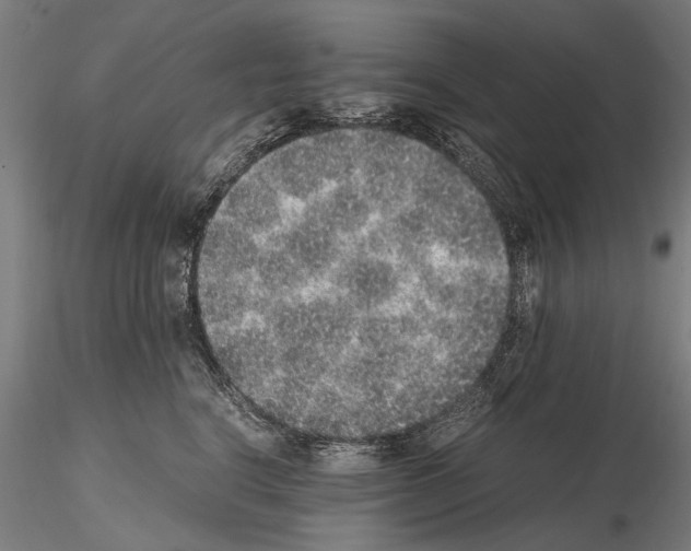 X0000114660664200912011136