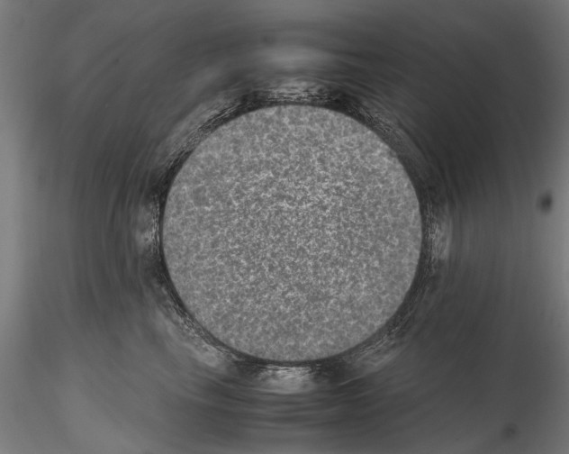 X0000114660665200912011136