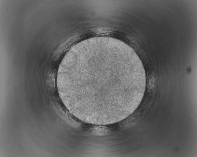 X0000114660666200912011136