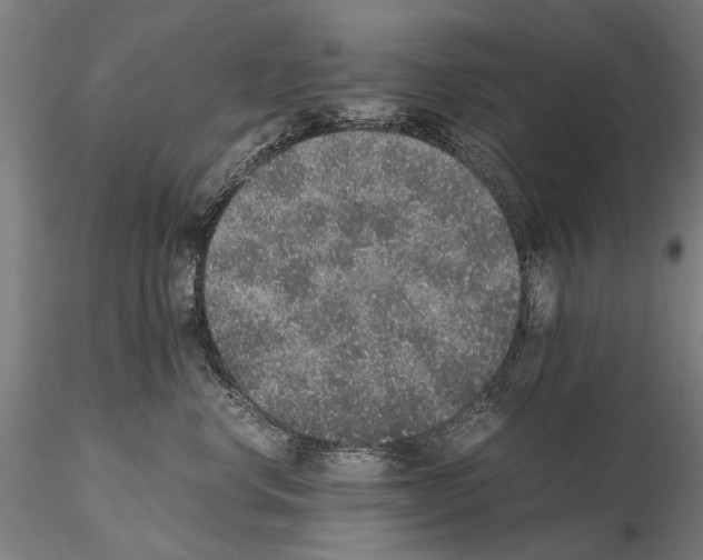 X0000114660668200912011136