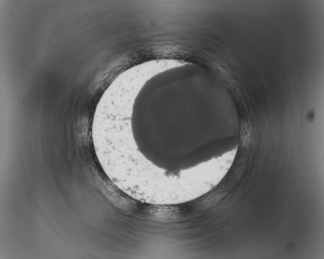 X0000114660670200912011136