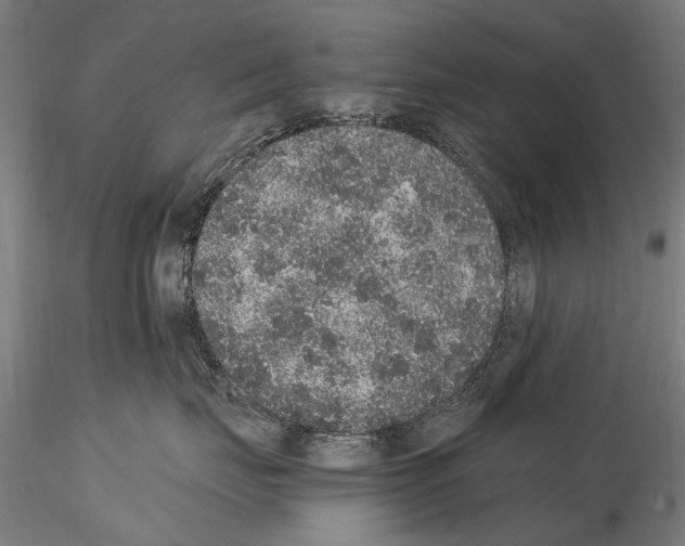 X0000114660671200912011137