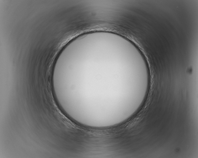 X0000114660673200912011136