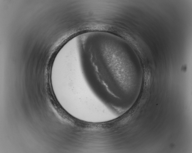 X0000114660674200912011136