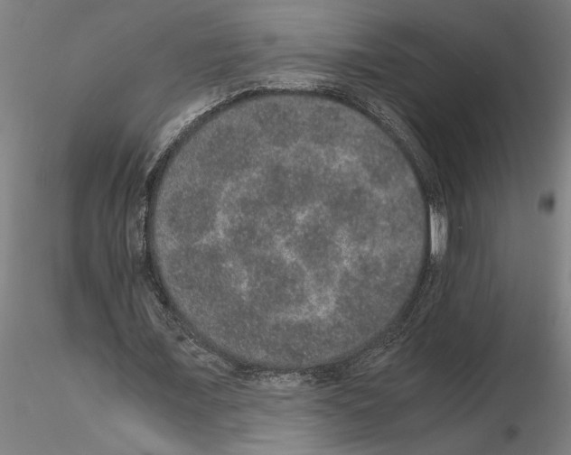 X0000114660675200912011136