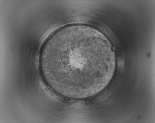 X0000114660676200912011136