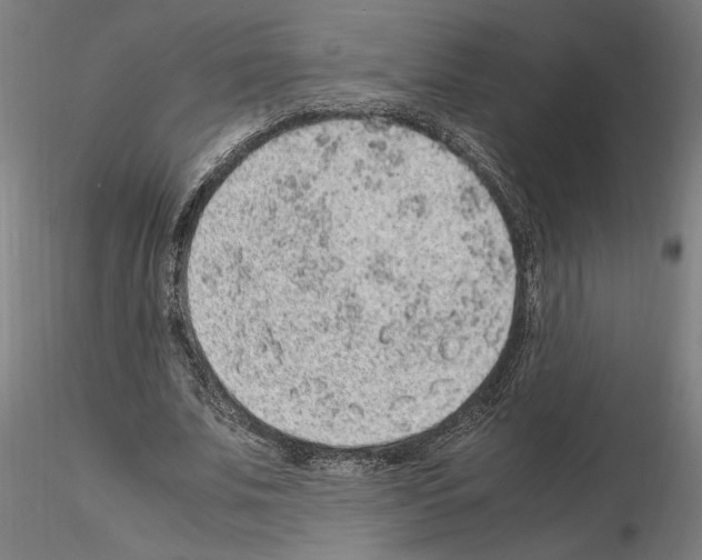 X0000114660679200912011136