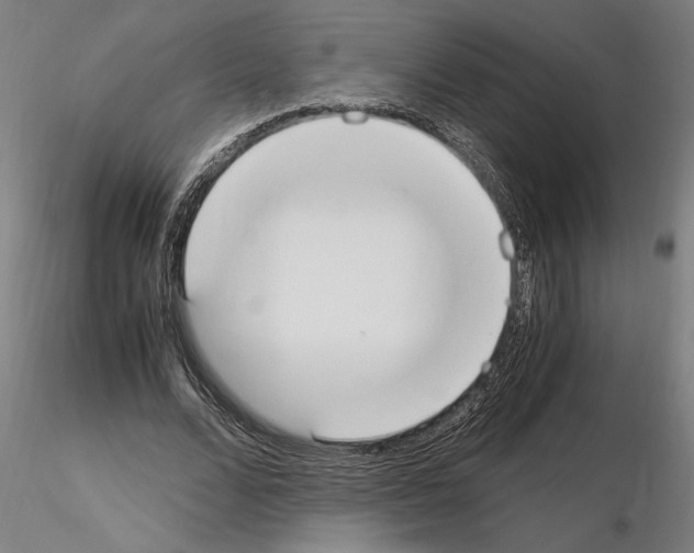 X0000114660680200912011136