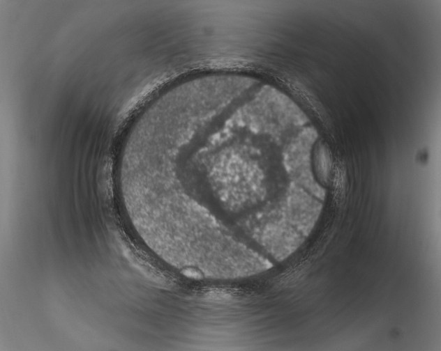 X0000114660684200912011136