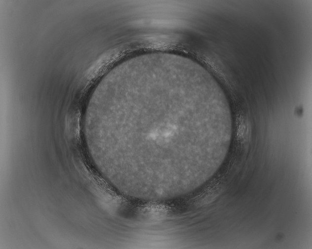 X0000114660685200912011136