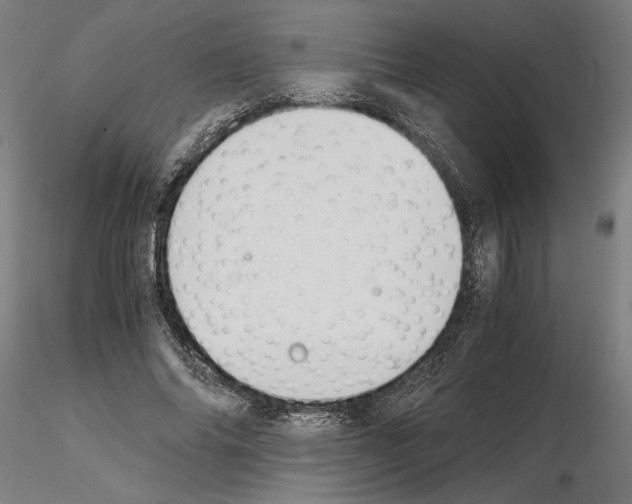 X0000114660686200912011136