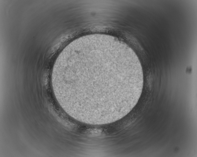 X0000114660687200912011136