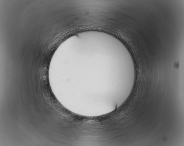 X0000114660689200912011135