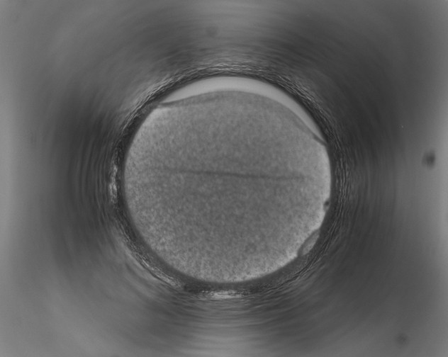 X0000114660692200912011135