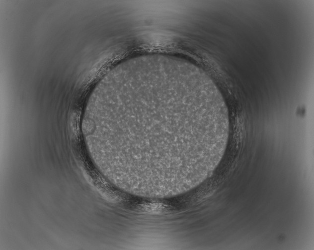 X0000114660695200912011135