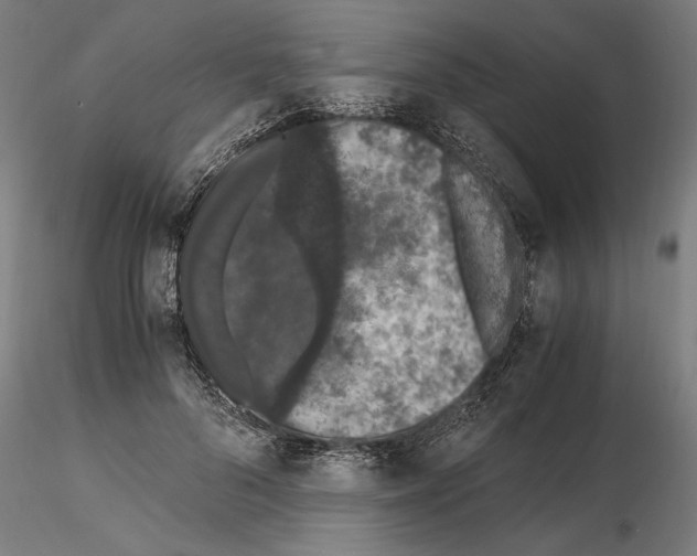 X0000114660696200912011135