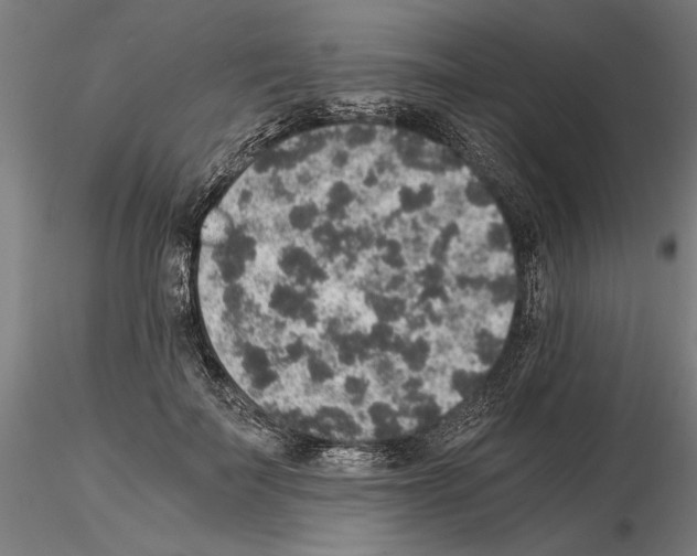 X0000114660699200912011135