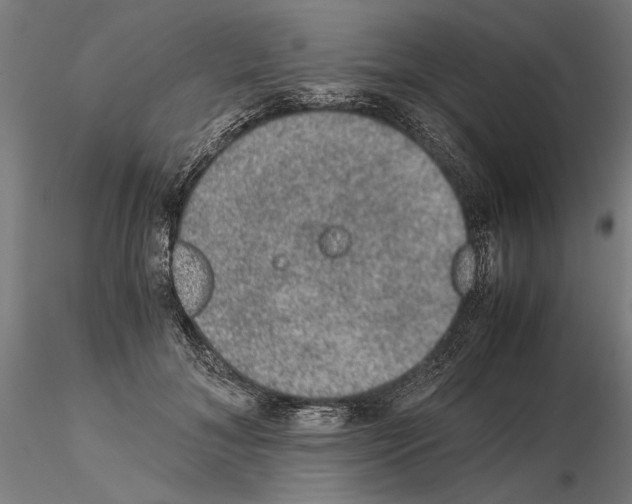 X0000114660700200912011135